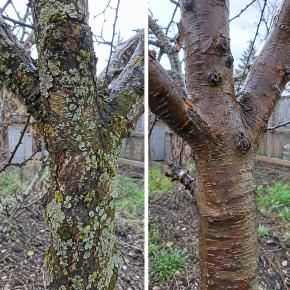 before-after-580
