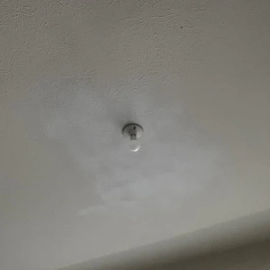 Спестих си боядисването
